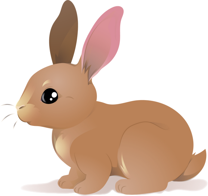 Cute Cartoon Rabbit